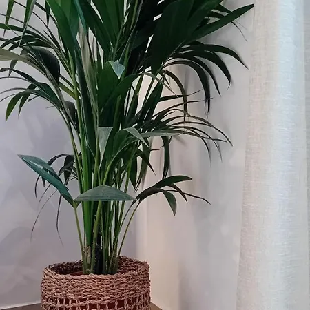 Anais Milos Adamantas (Milos)