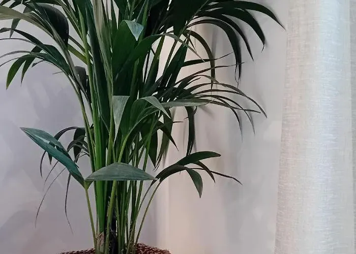 Anais Milos Adamantas (Milos)